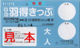 京浜急行電鉄・京急羽得きっぷ(羽田空港国内線ターミナル).jpg